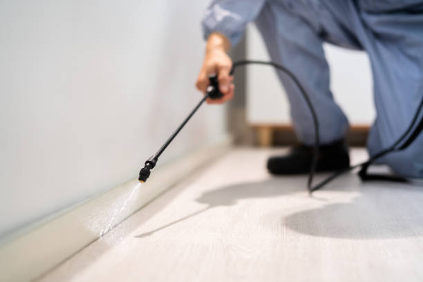 Licensed Mosquito Control service in Willacoochee, GA - Show Me Pest Control