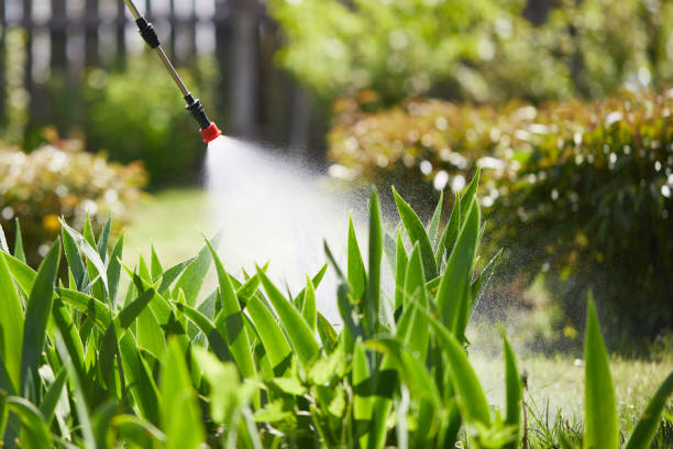 24/7 Emergency Mosquito Control experts in Willacoochee, GA