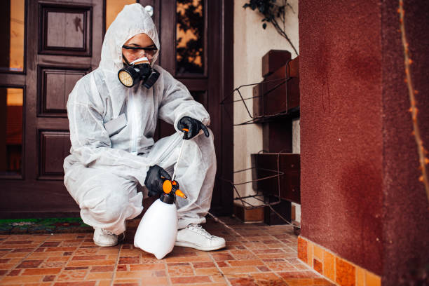 Reliable Mosquito Control contractor in Willacoochee, GA by Show Me Pest Control